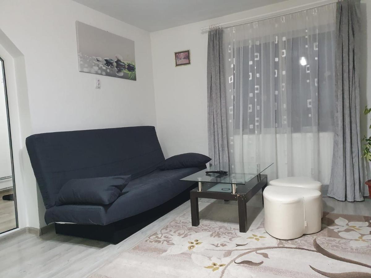 Casa Sandu Holiday home