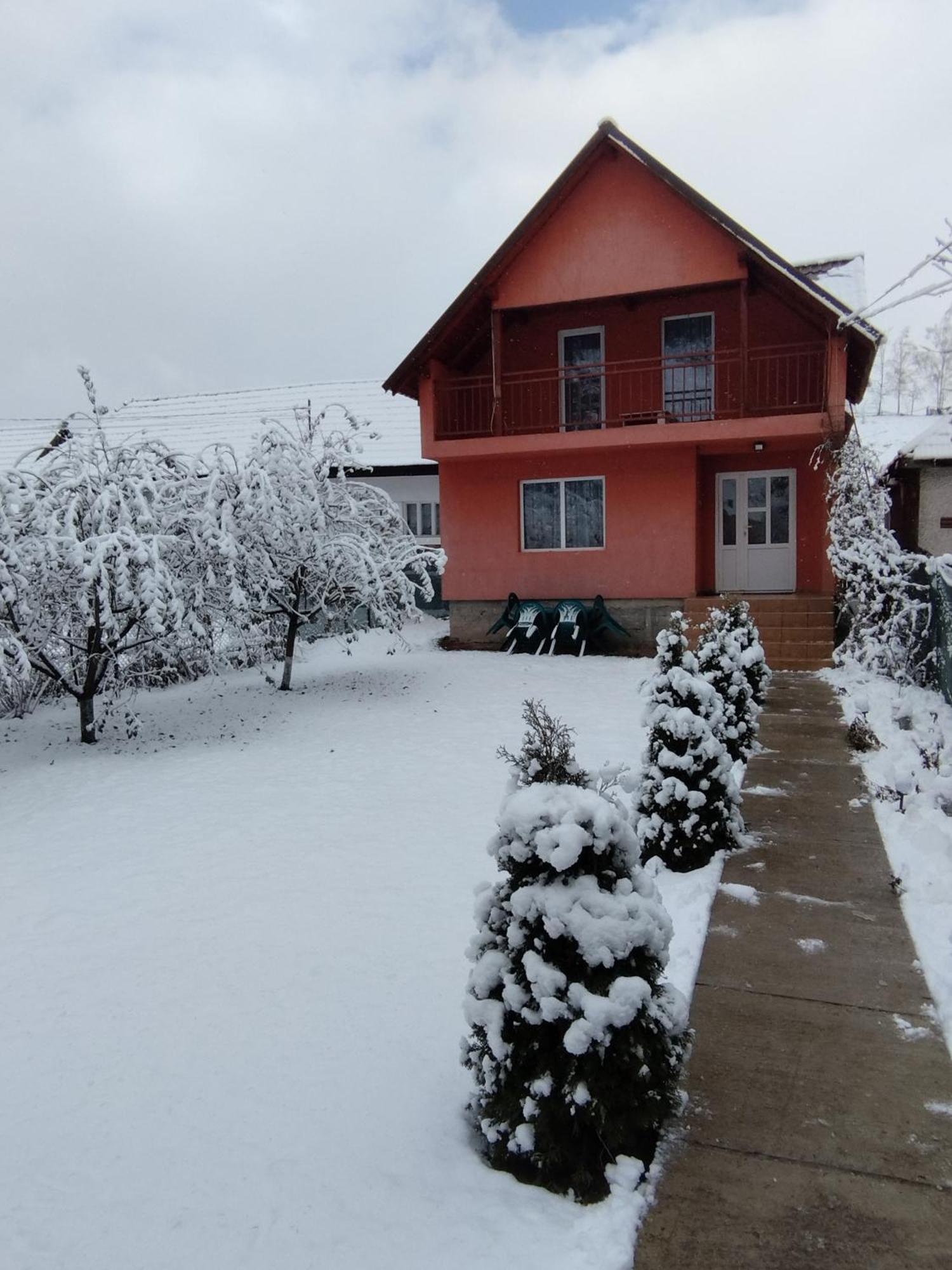 Casa Sandu Holiday home