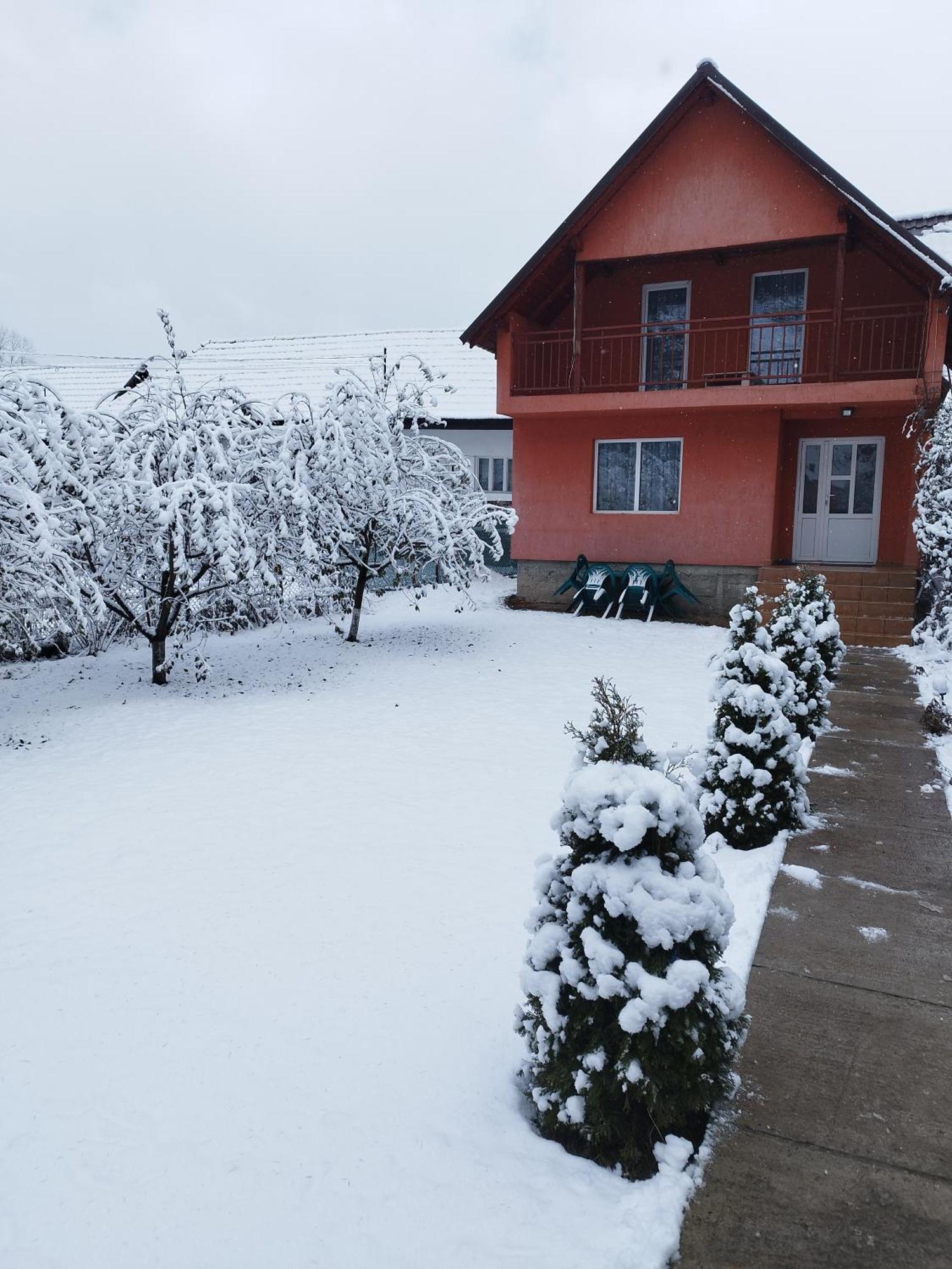 Holiday home Casa Sandu *